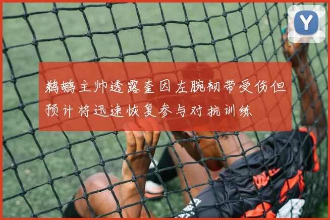 鹈鹕主帅透露奎因左腕韧带受伤但预计将迅速恢复参与对抗训练