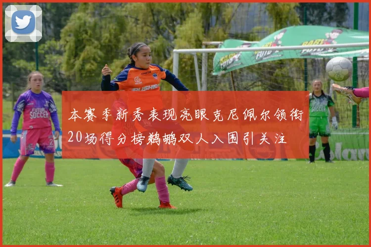 本赛季新秀表现亮眼克尼佩尔领衔20场得分榜鹈鹕双人入围引关注